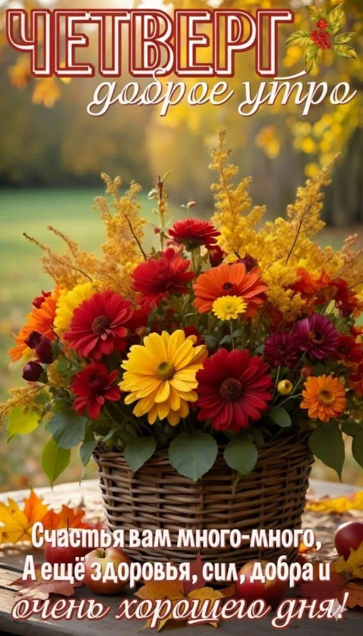 🧡🧡🧡