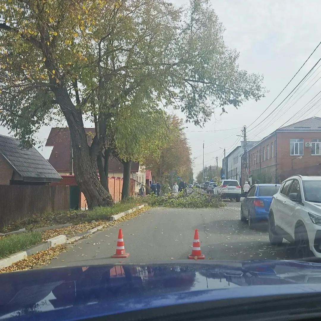 На Красной движение затруднено. То-ли опиловка, то-ли дерево на дорогу рухнуло.