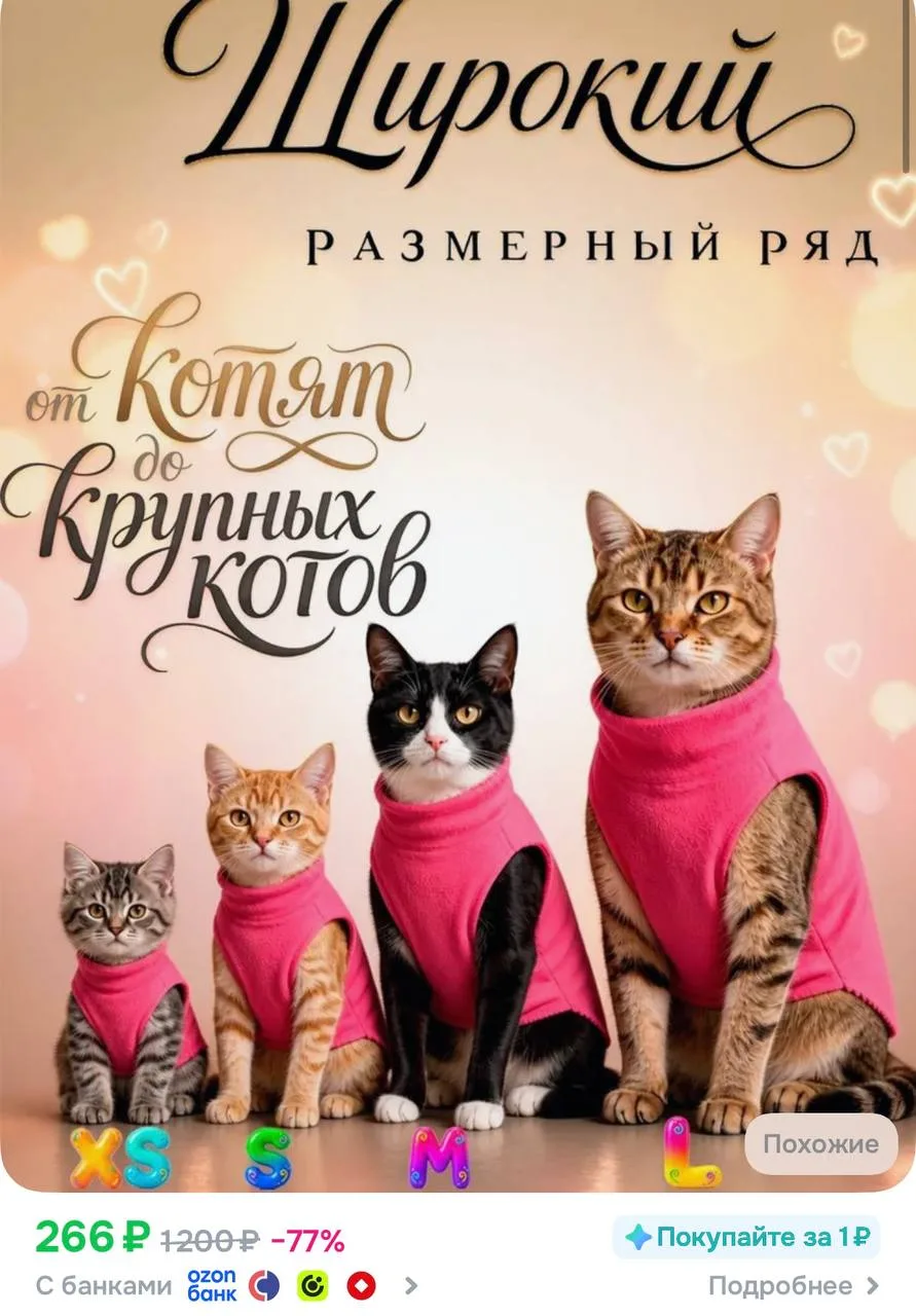 🐾 Свитер для кошек и сфинксов плисовый