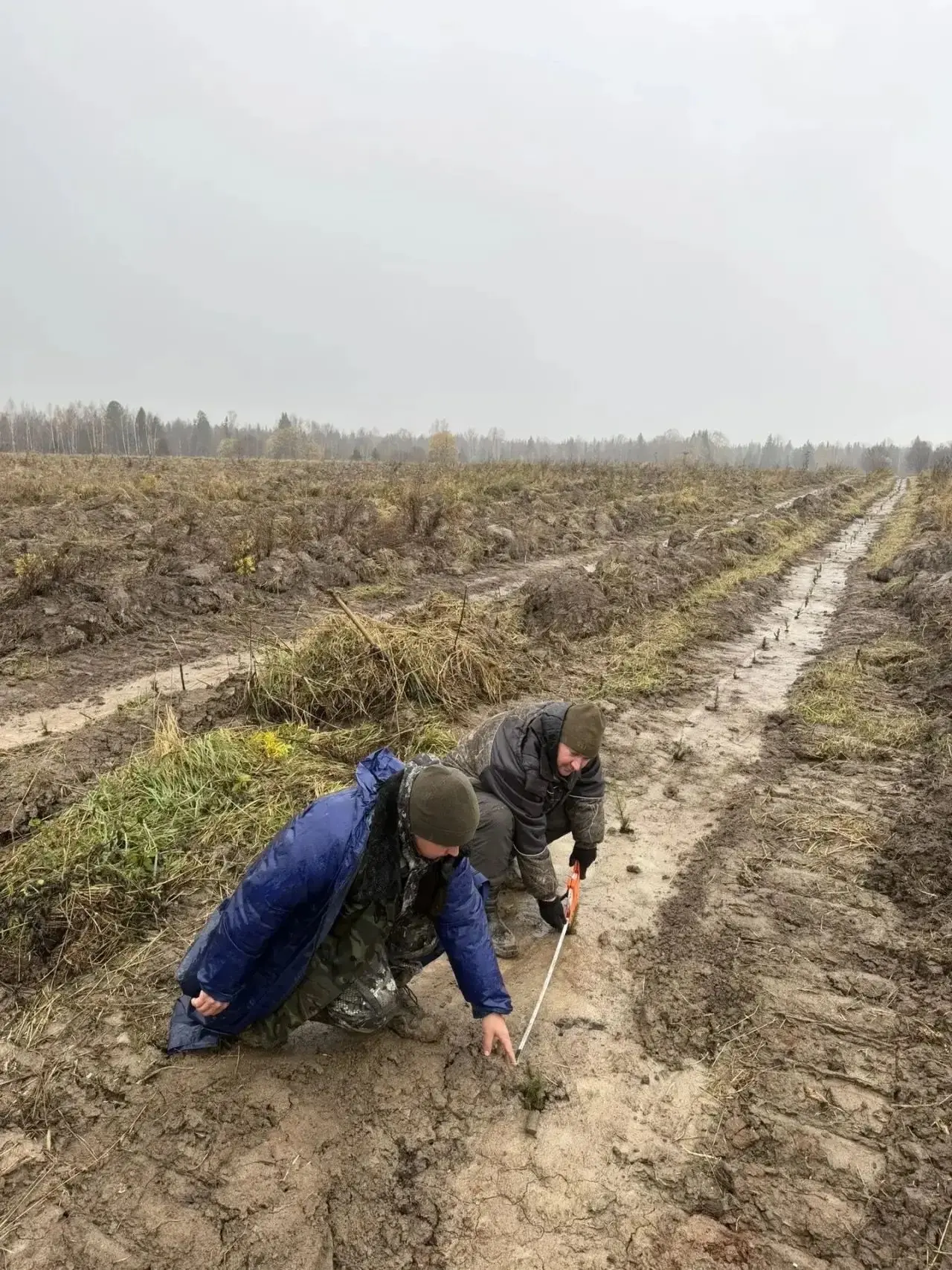 В Чебулинском лесничестве подвели итоги важной экологической кампании — завершилась тех...