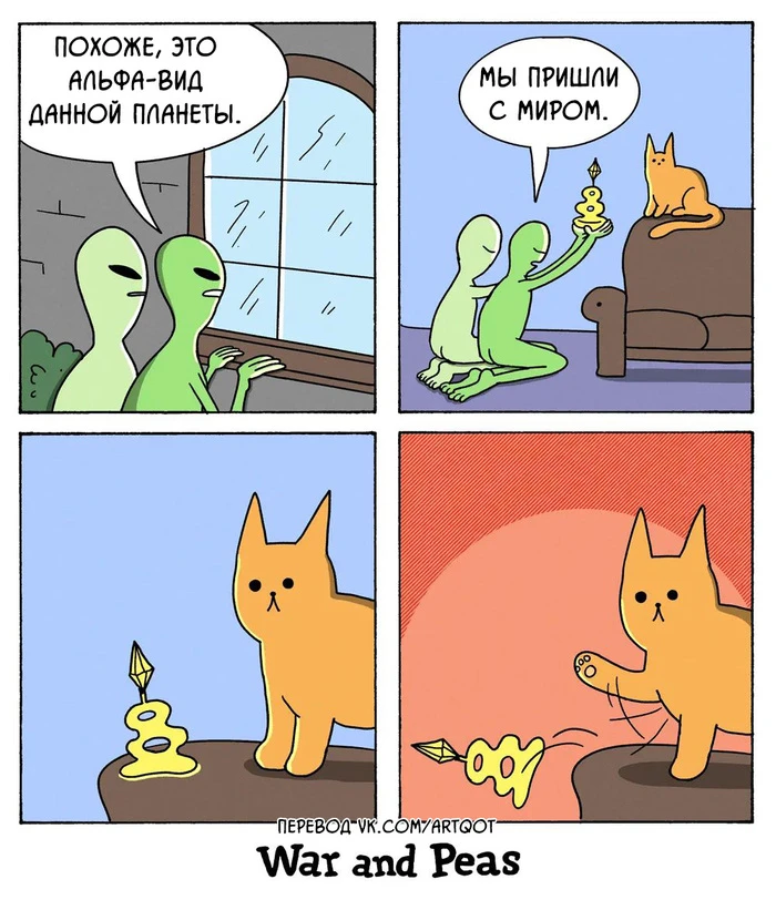 😾