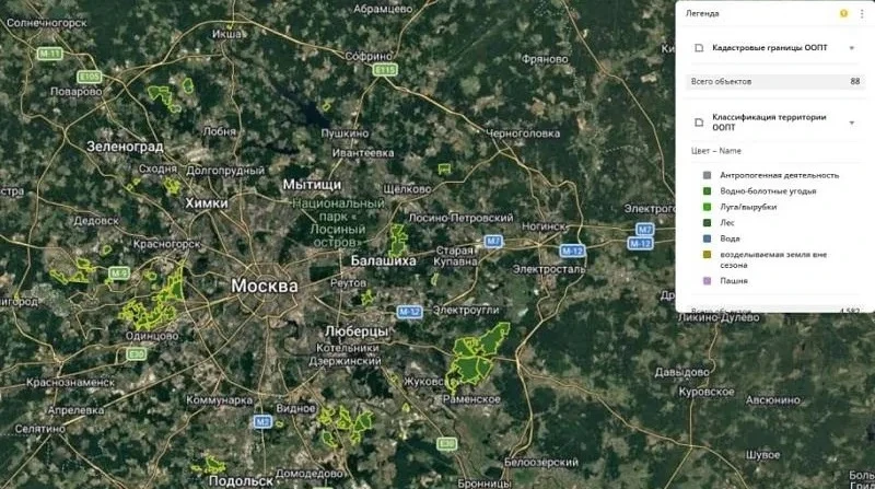 В Подмосковье незаконные вырубки вычислят из космоса