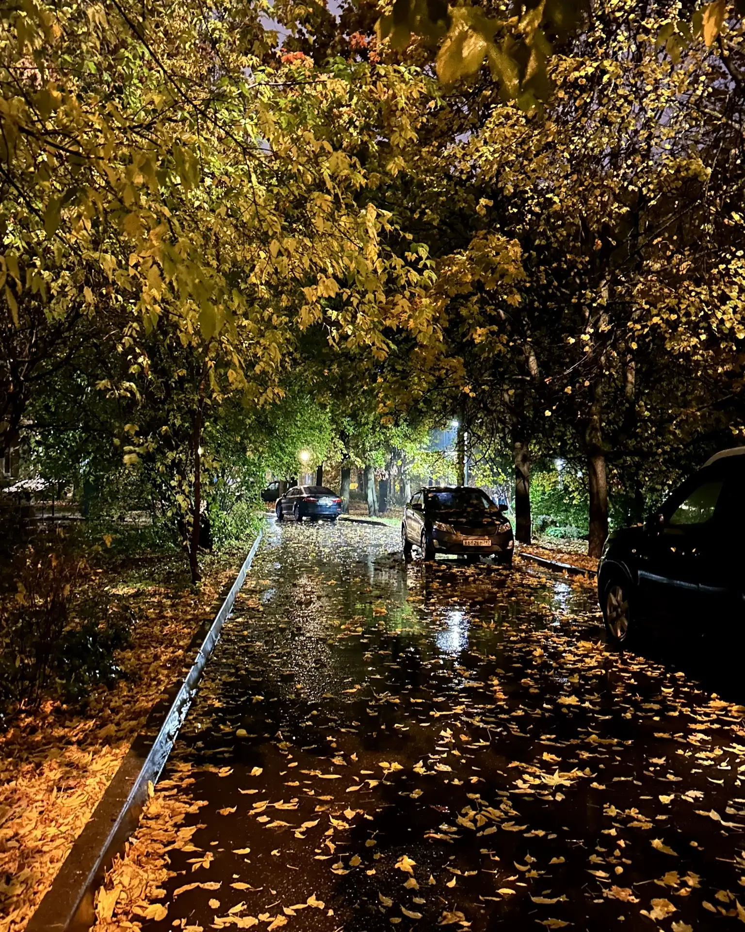 ..После красно-желтых дней начнется и кончится зима🍂