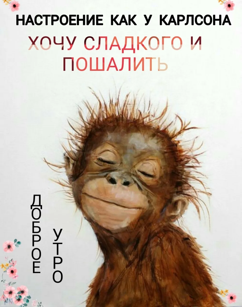 Добрейшего утречка!