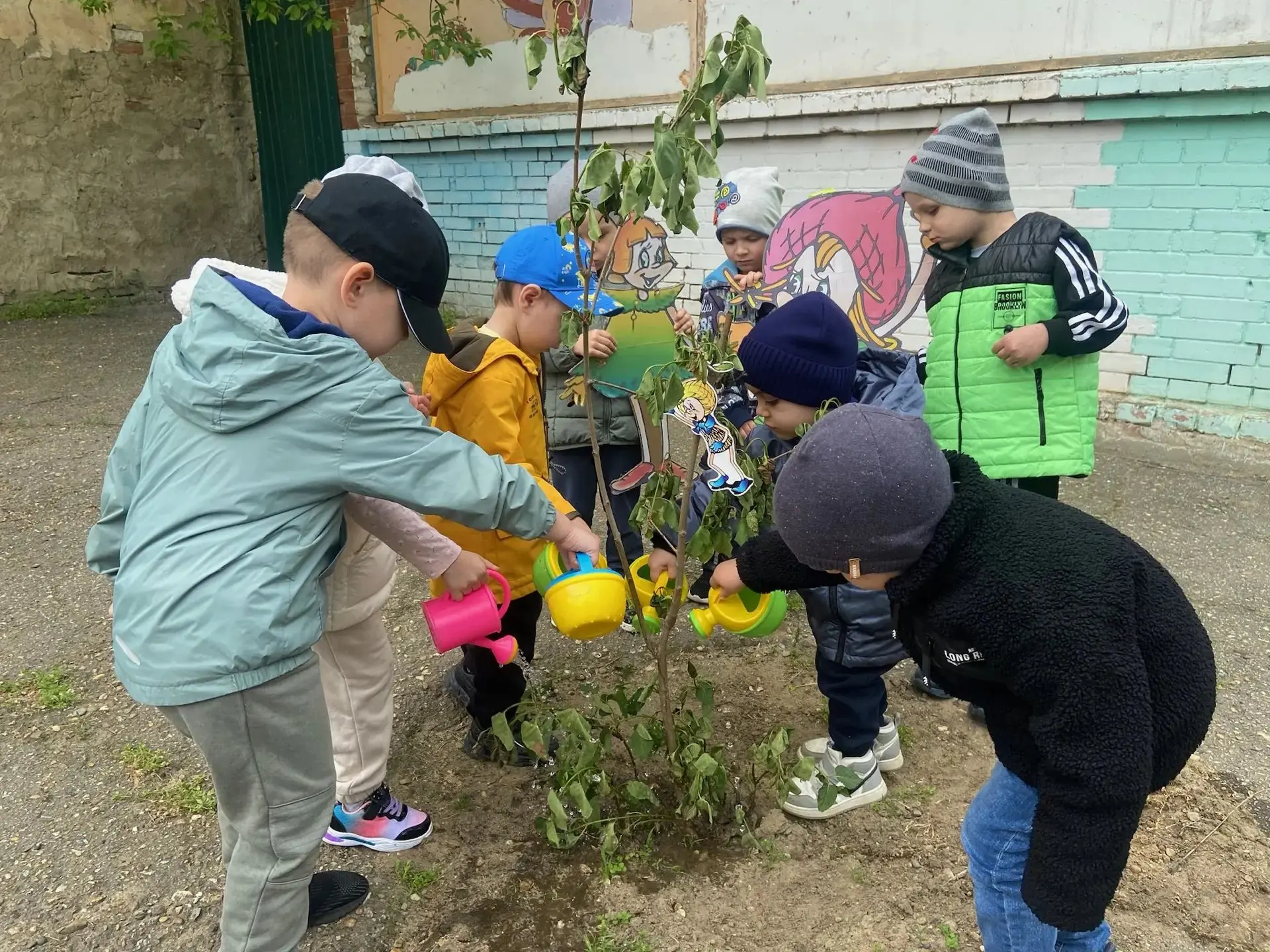 🌱 Наш детский сад участвует во Всероссийской акции «Сохраним лес»! 🌳