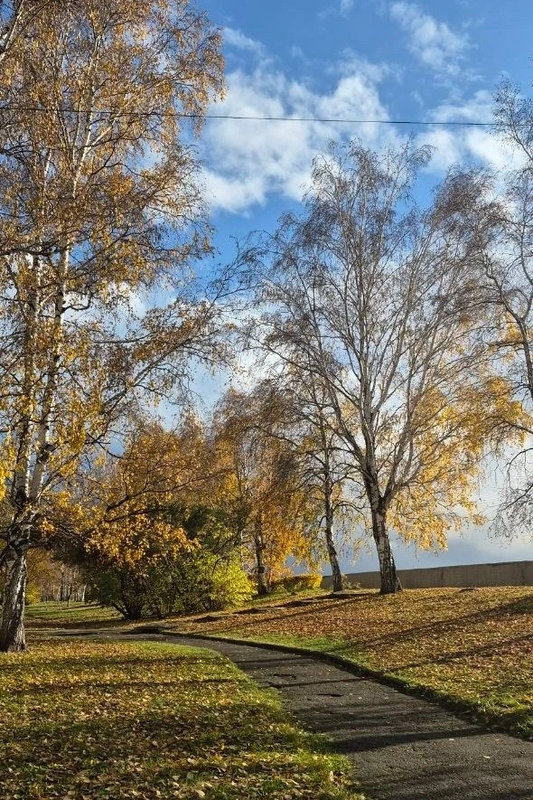 Доброе утро! ☀️