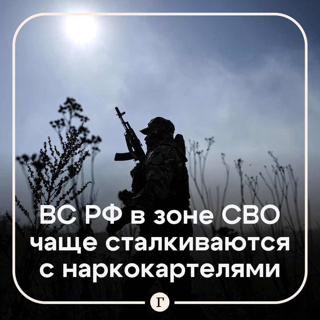 В МВД рассказали о столкновении российских военных с боевиками наркокартелей.