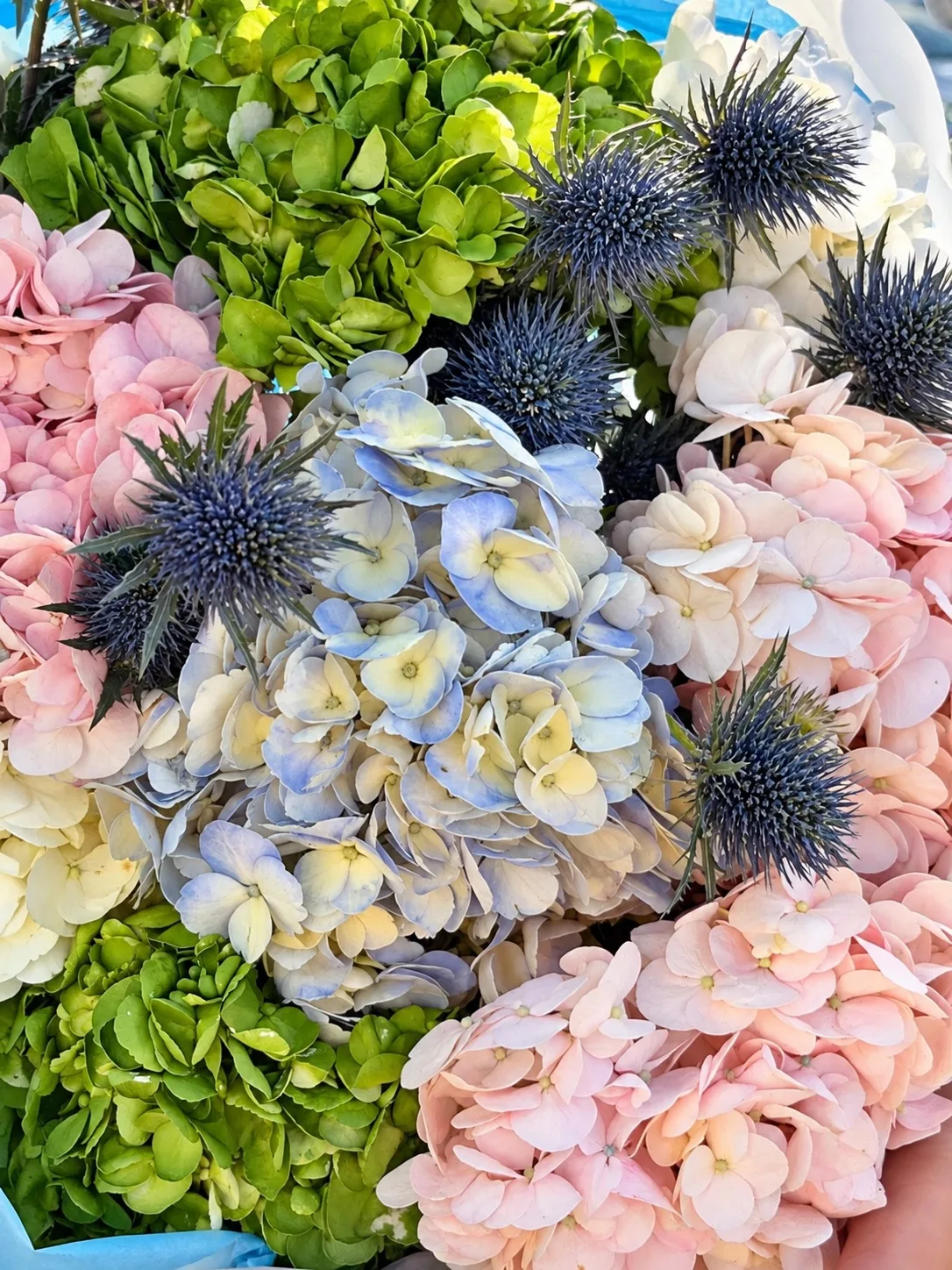 💐 Гортензии, в которые невозможно не влюбиться! 💙