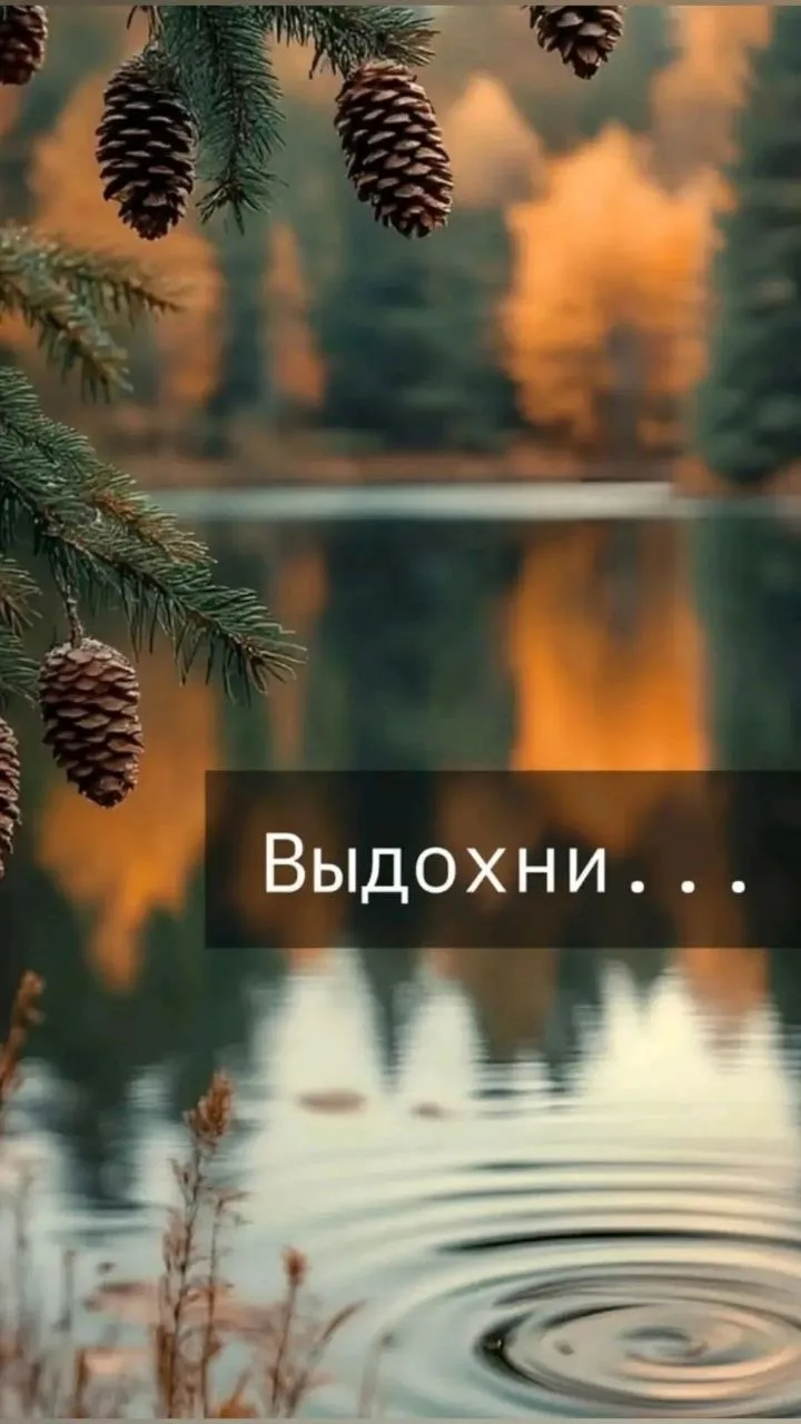 #Цитаты #Мудрость