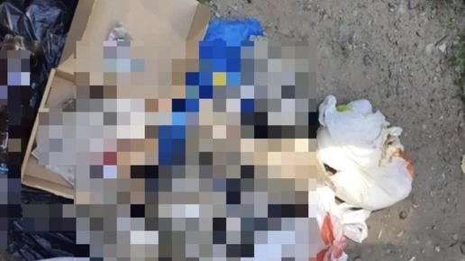 В Хохольском районе полицейские изъяли 700 г марихуаны