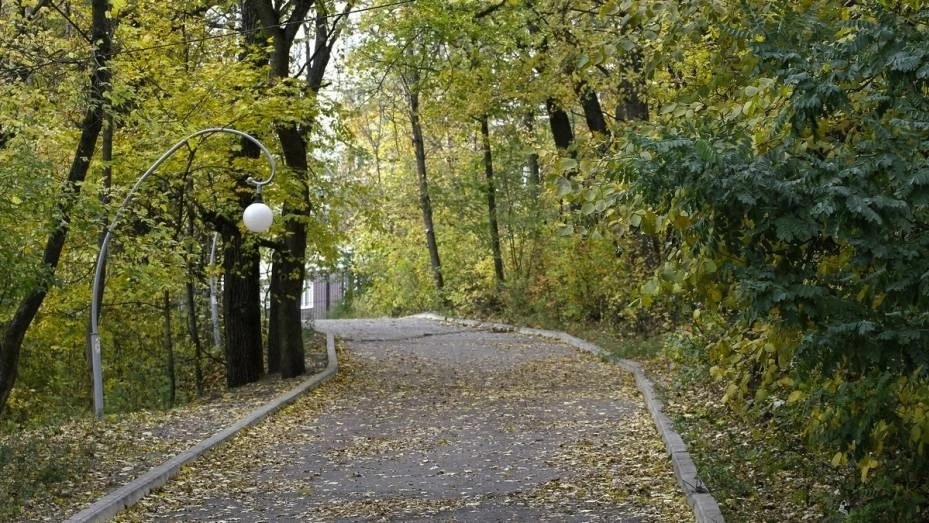 Доброе утро! Всем хорошего дня!