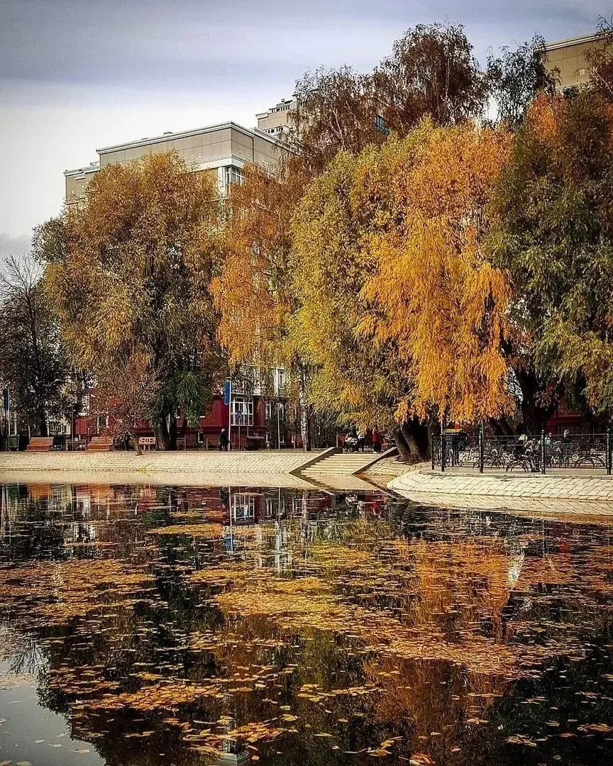 Доброе осеннее утро Советский район 🌞🍁