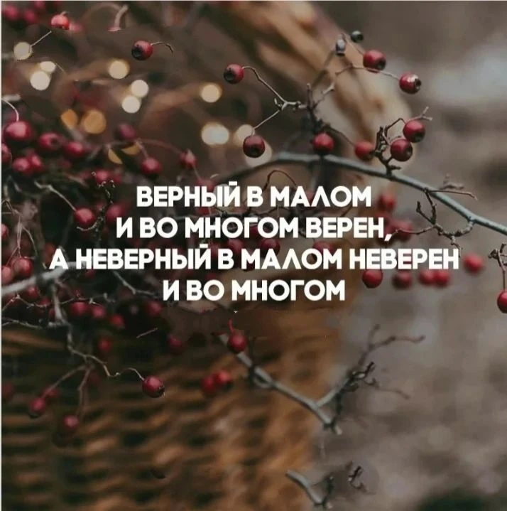 📖Евангелие (Библия)