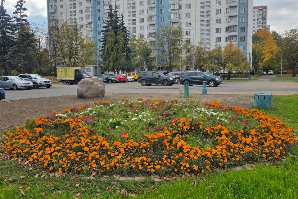 🌼 Осенние краски Олимпийской деревни