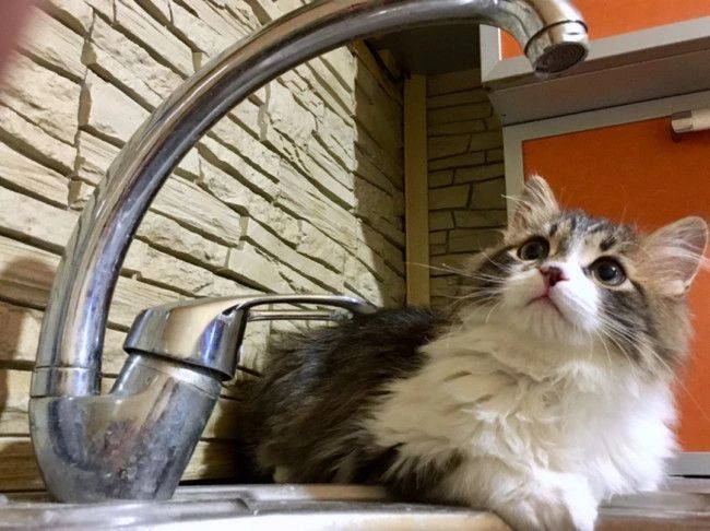 🚰 Завтра в Кировском и Советском округах не будет холодной воды