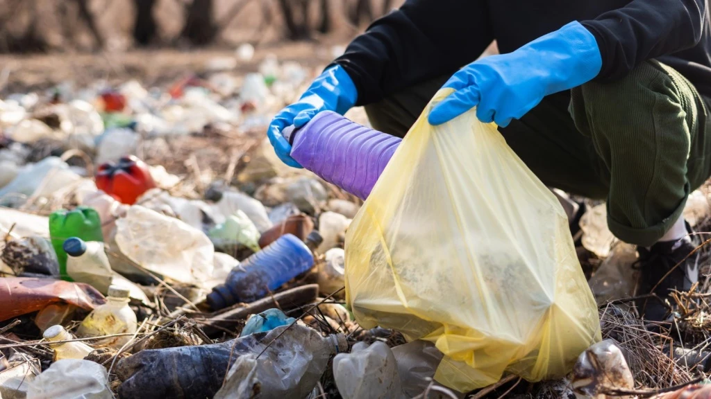 🚮 Землевладельцев Ленинского округа обяжут убрать свалки на участках