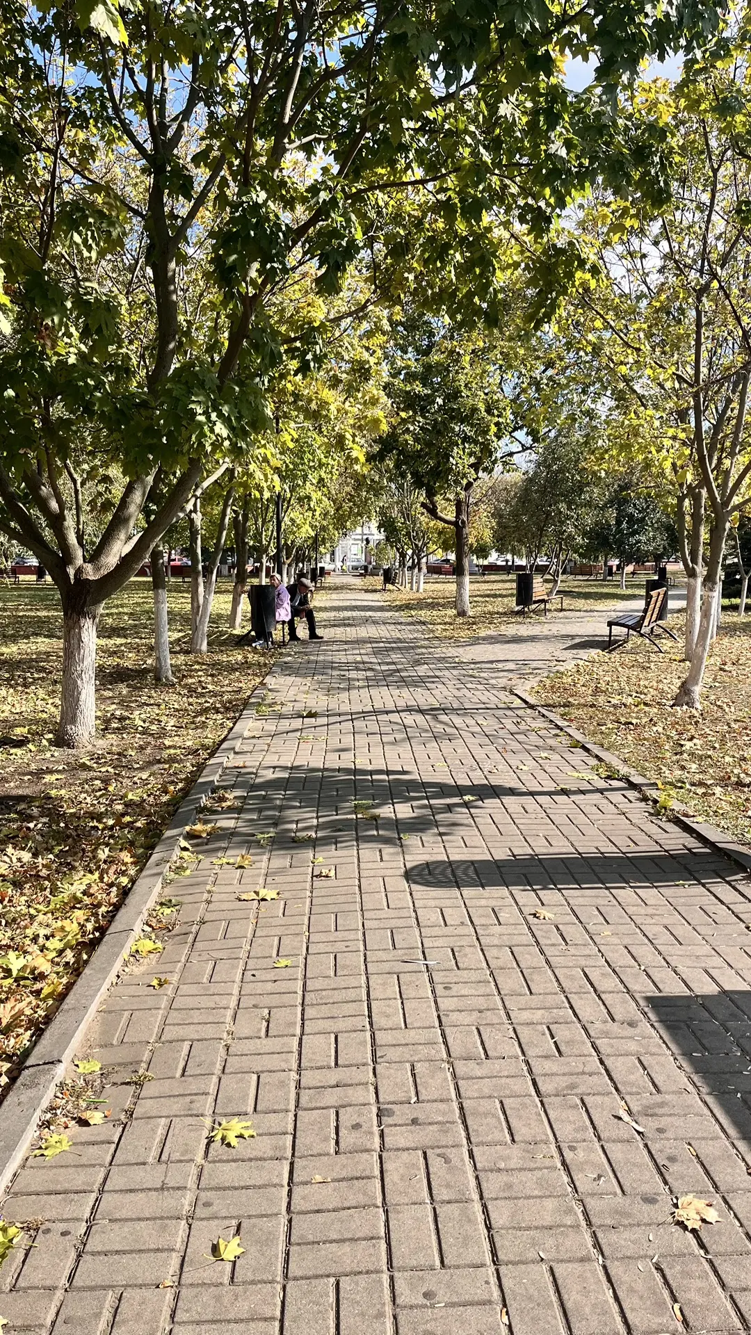 В Богучаре теплая осень 🍂