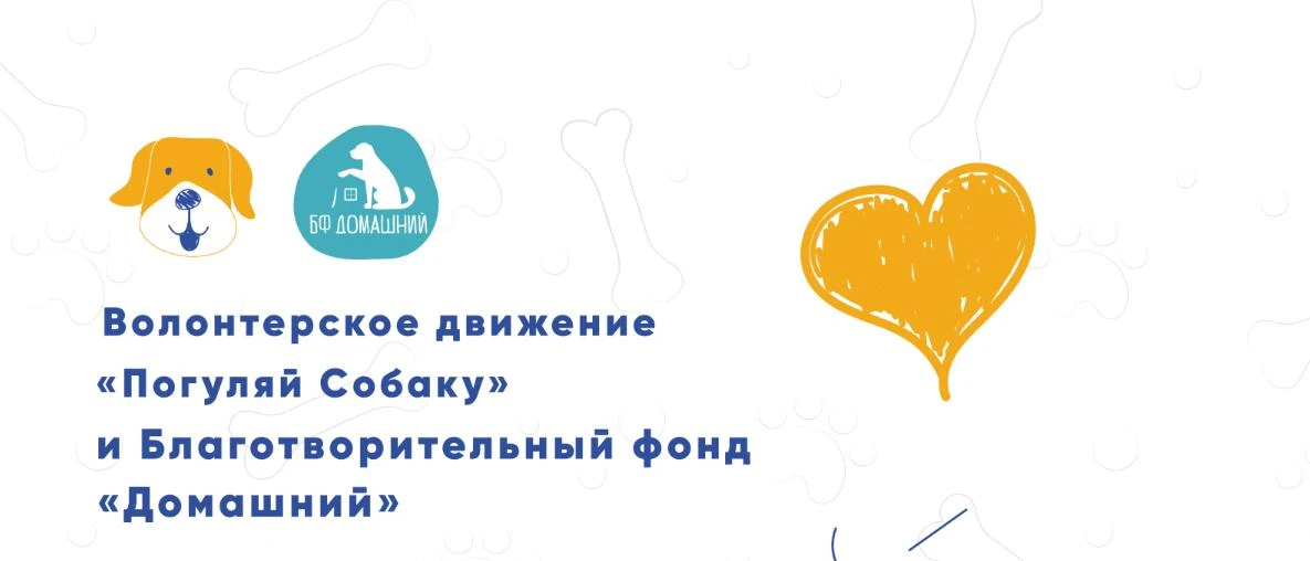 Выезд в приют Домашний (м Аннино), 0+