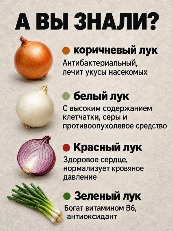 ✨ Полезная информация про лук!