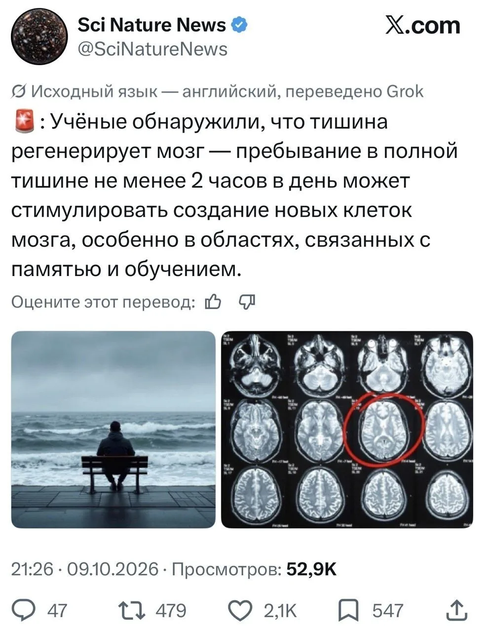 Цифровой детокс для мозга: почему вам нужно 2 часа тишины