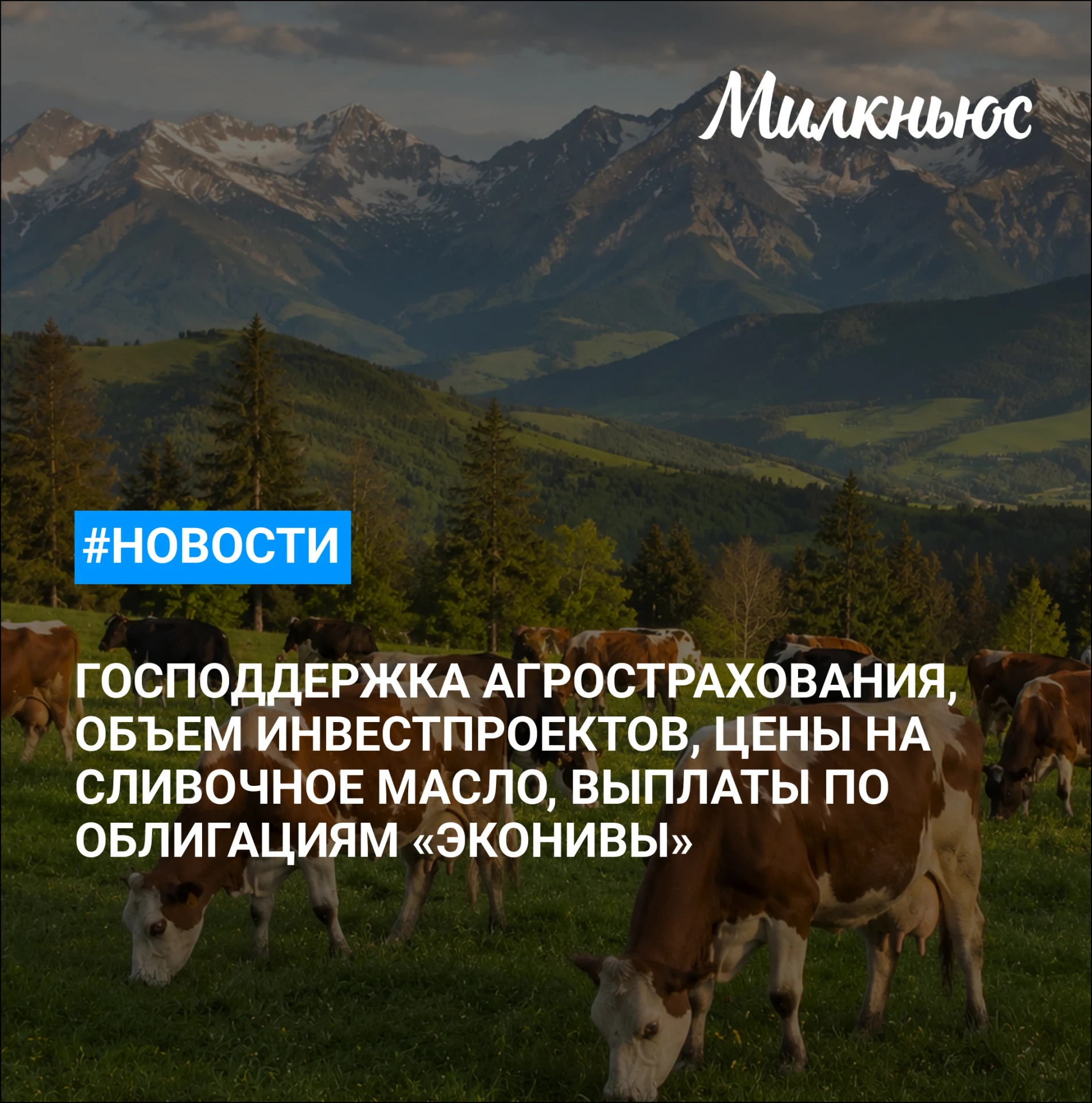 🐮 Аграрии новых регионов с января получат доступ к программе господдержки агрострахования