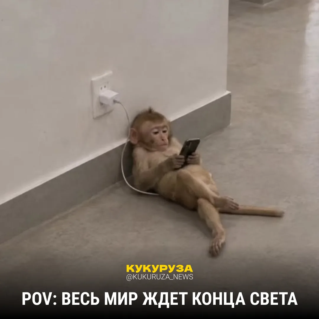 Извините, а что-то типа обещанного конца света будет? Или он опаздывает?