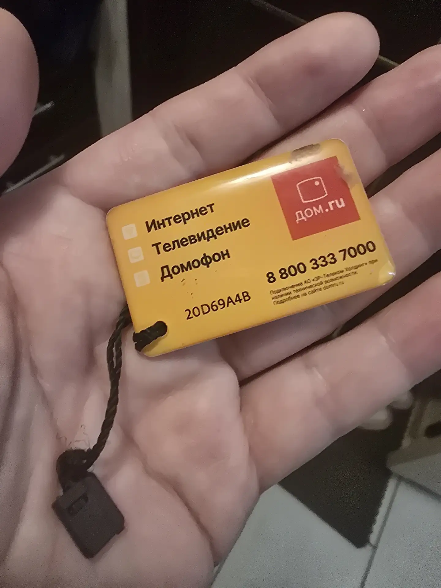 Чья потеряшка?