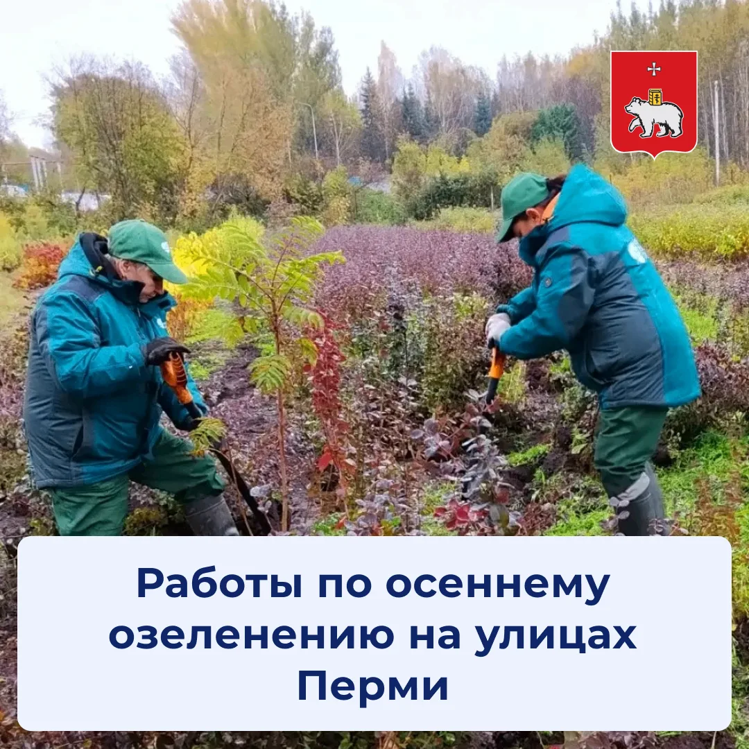Специалисты «ГорЗеленСтроя» продолжают приводить в порядок городское озеленение и готов...