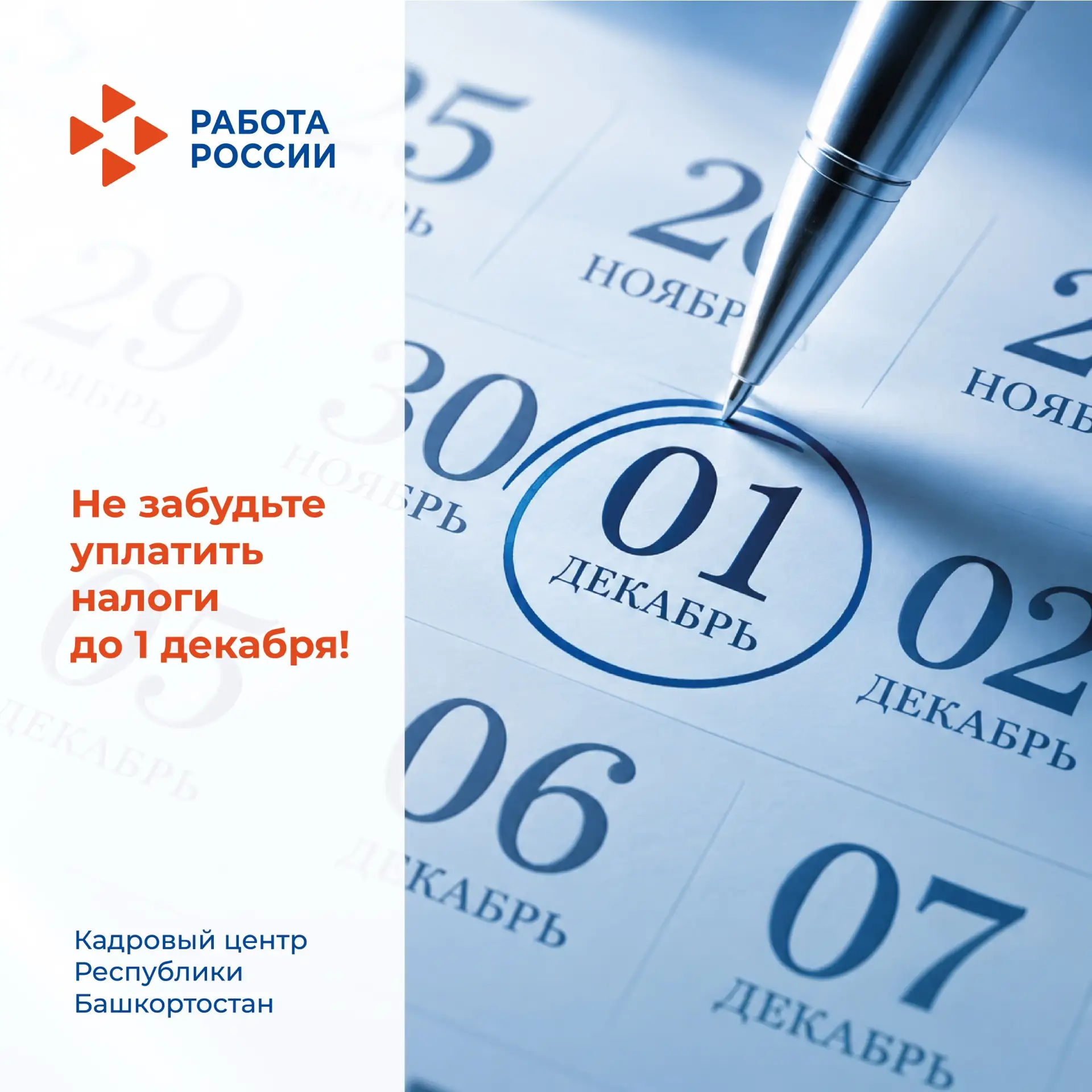 🗓 Не забудьте уплатить налоги до 1 декабря!