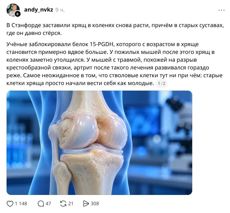 Можно эту таблеточку в магазины быстрее, пожалуйста
