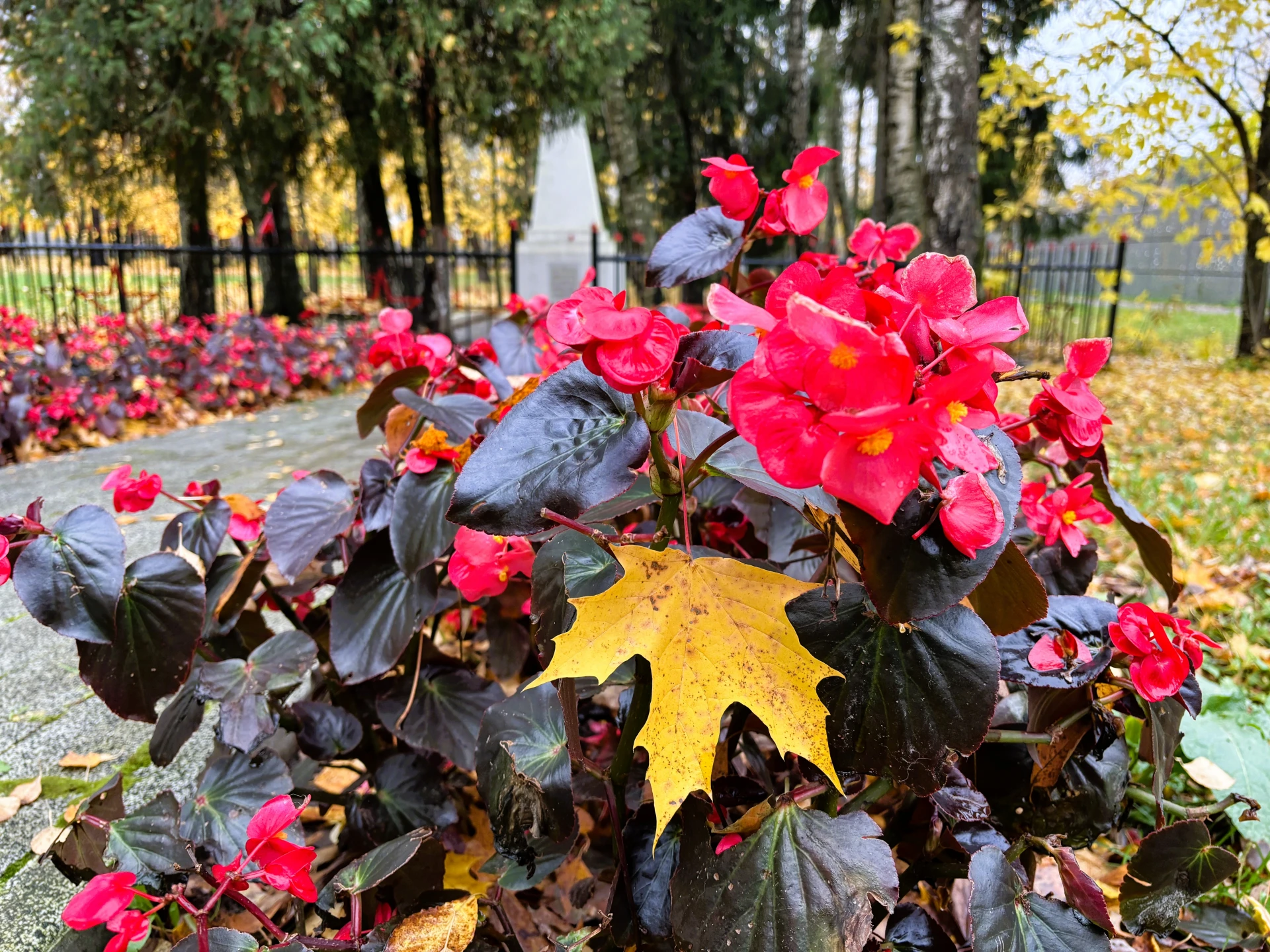 🍂 Экватор осени пройден, а в Беличьем парке время будто замерло!