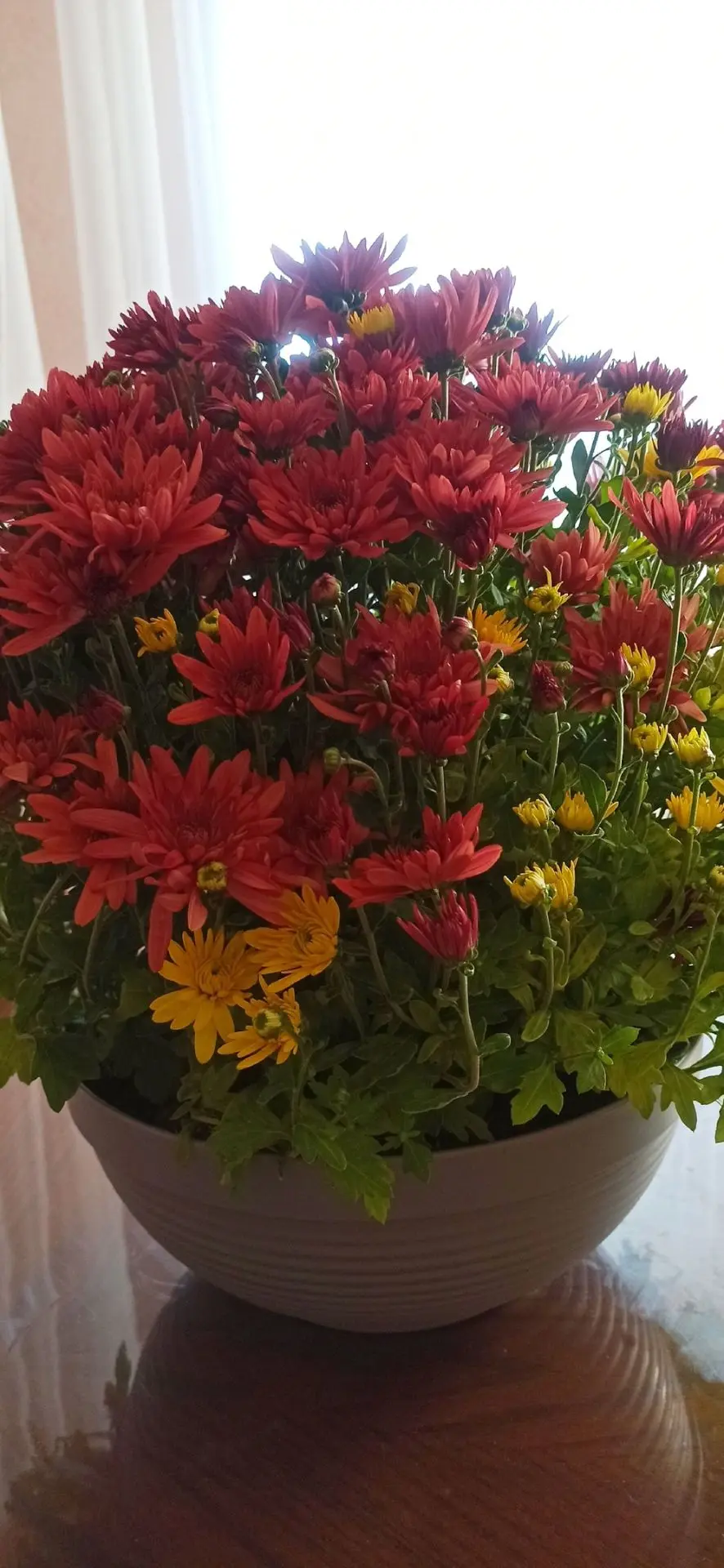 🌻 10  октябрь