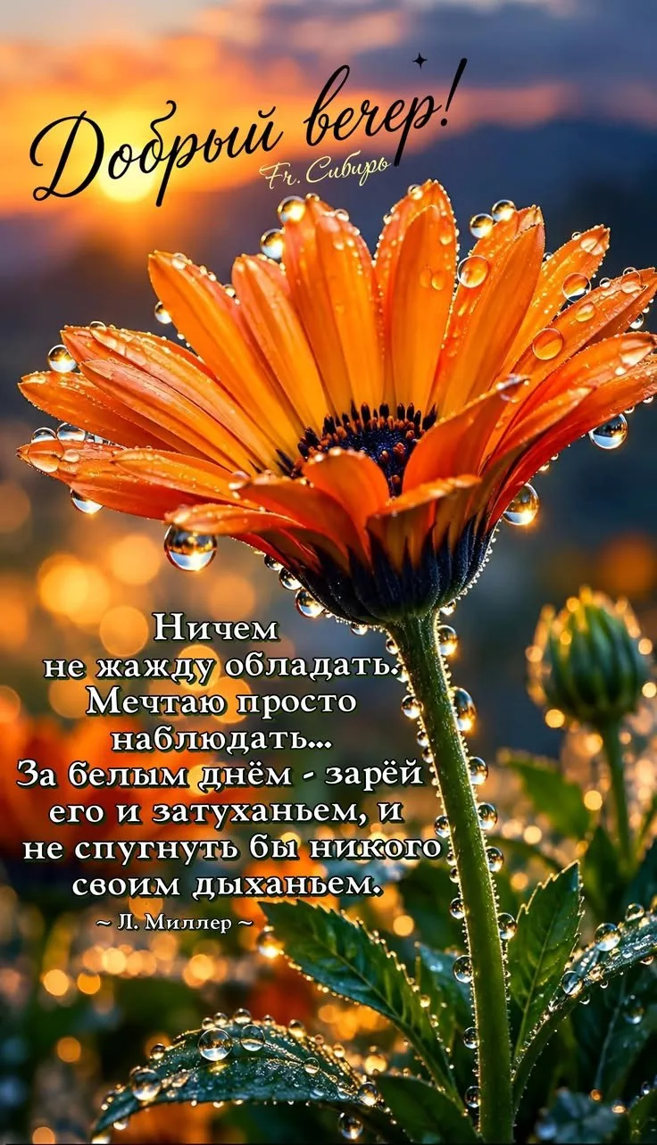 Открытки любимым 🌸🥰