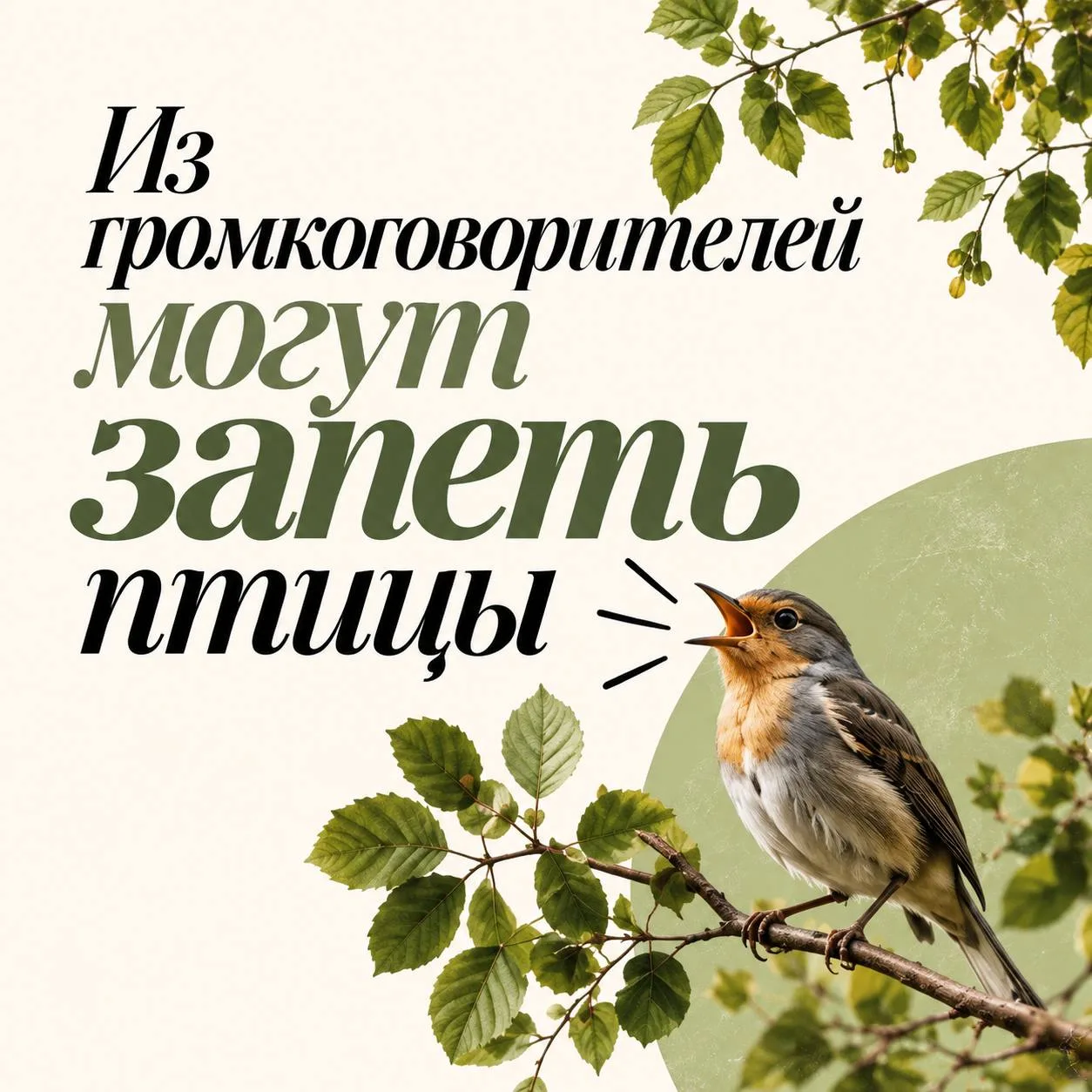 🐦 В 10:45 в Москве из громкоговорителей могут запеть птицы.