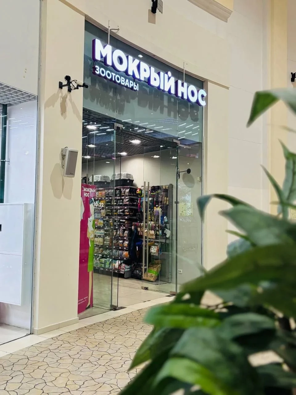 🐾 Всё для счастья и здоровья вашего хвостика – в магазине «Мокрый нос»!