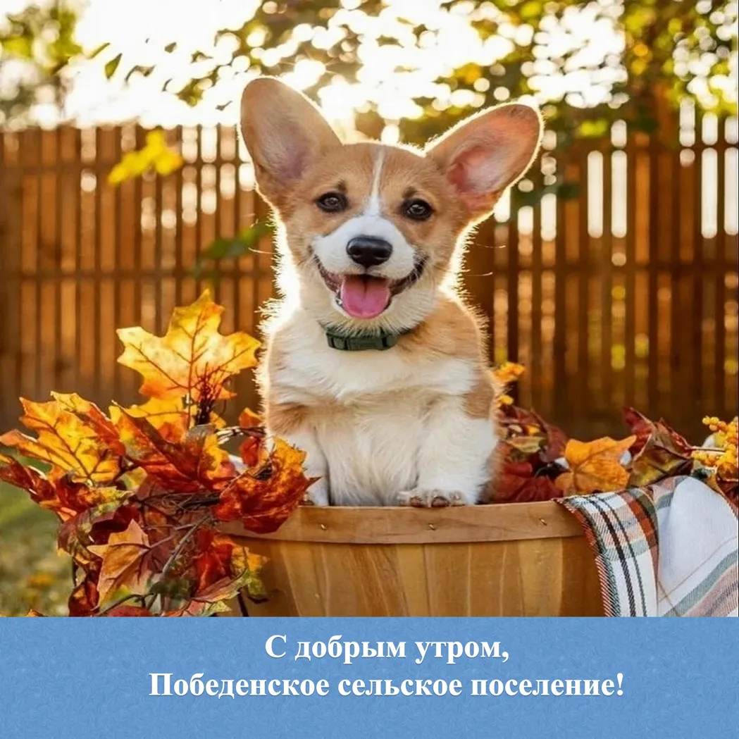 🌟 С добрым утром жители и гости Победенского сельского поселения!