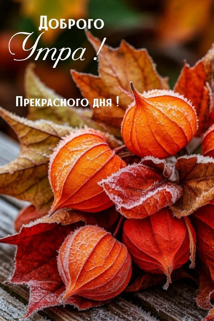 Доброе утро ☕️