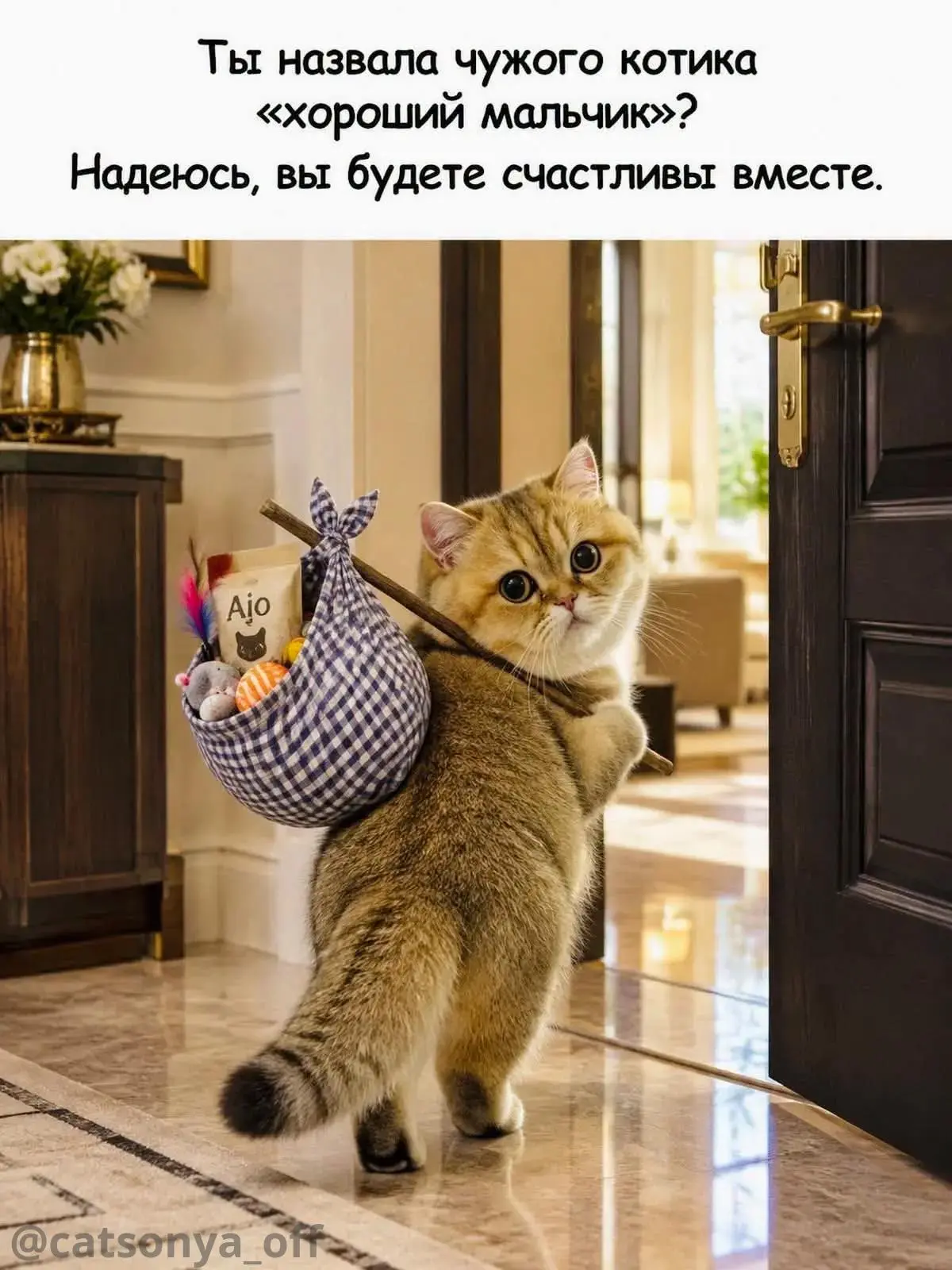 ➡️ SyntxAi