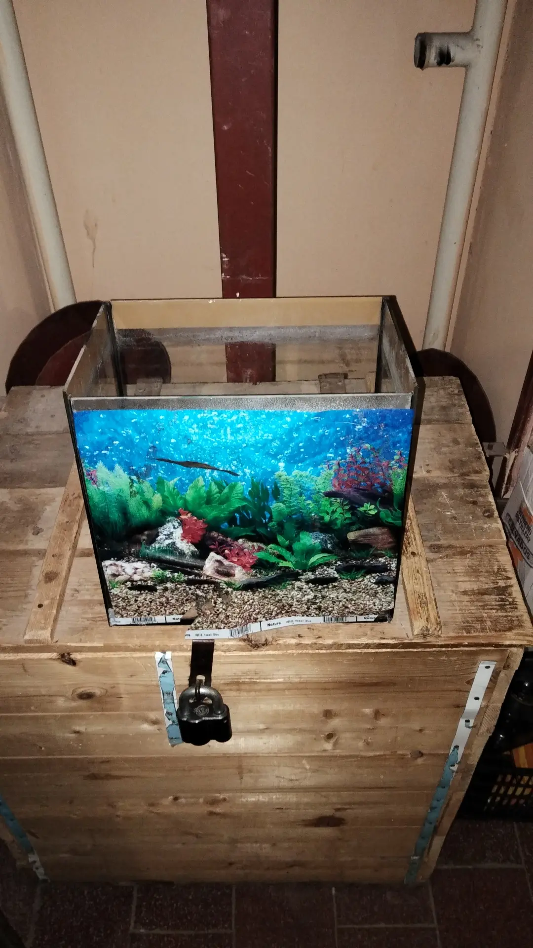 Аквариум, бесплатно, забирать с проспекта 79870016769