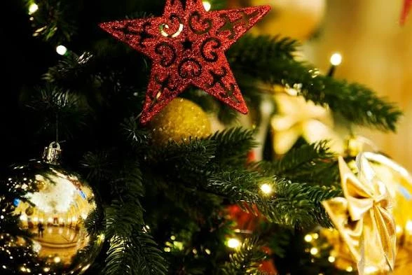🎄 Геленджик готовится к Новому году — и готовит целую порцию праздничного настроения!