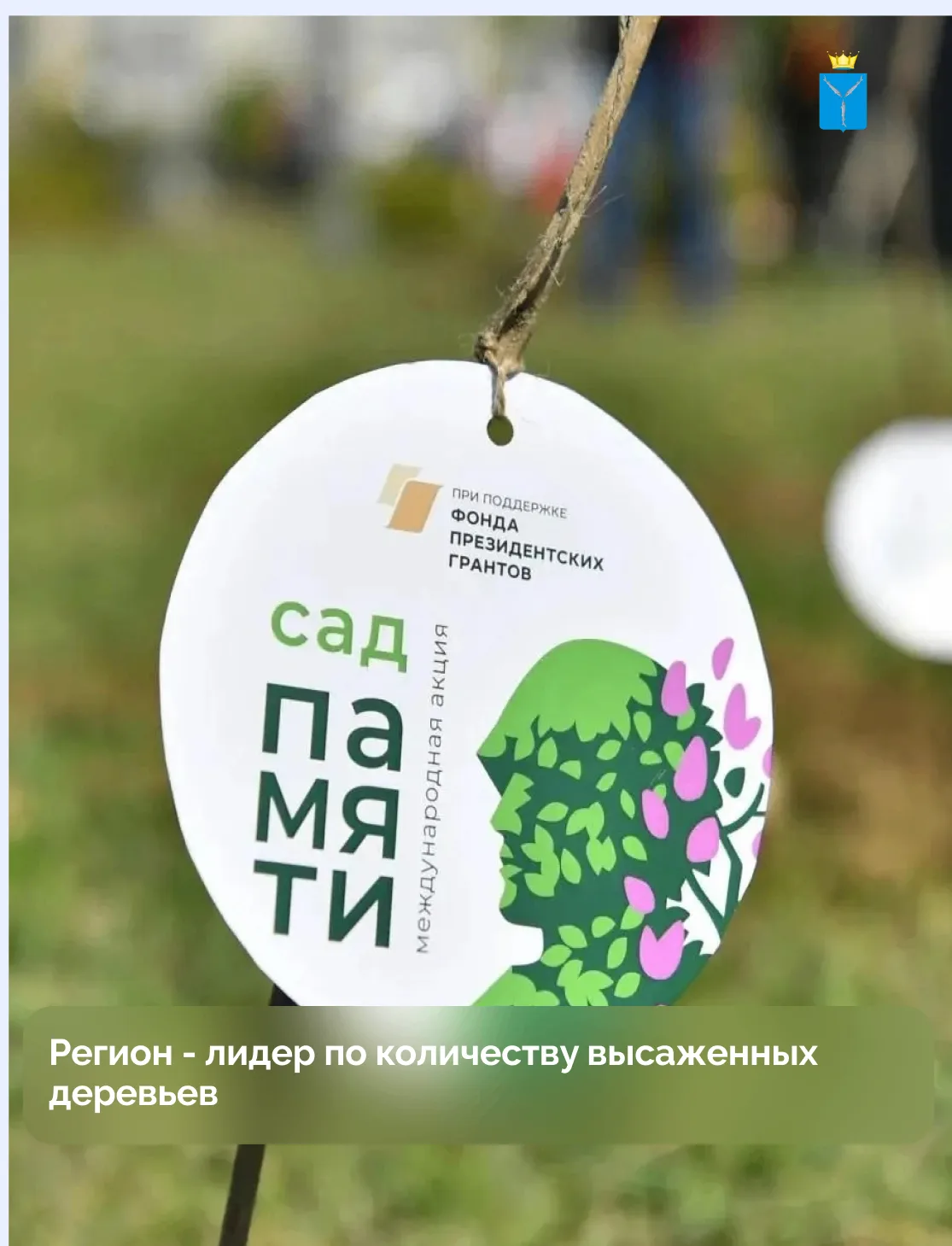 Второй год Саратовская область лидирует по количеству высаженных деревьев в рамках Всер...