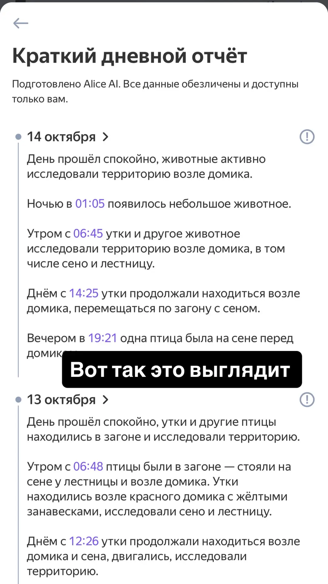 Утиные истории 😁 Теперь можем подглядывать за тем, что происходит в утятнике и делаем ...