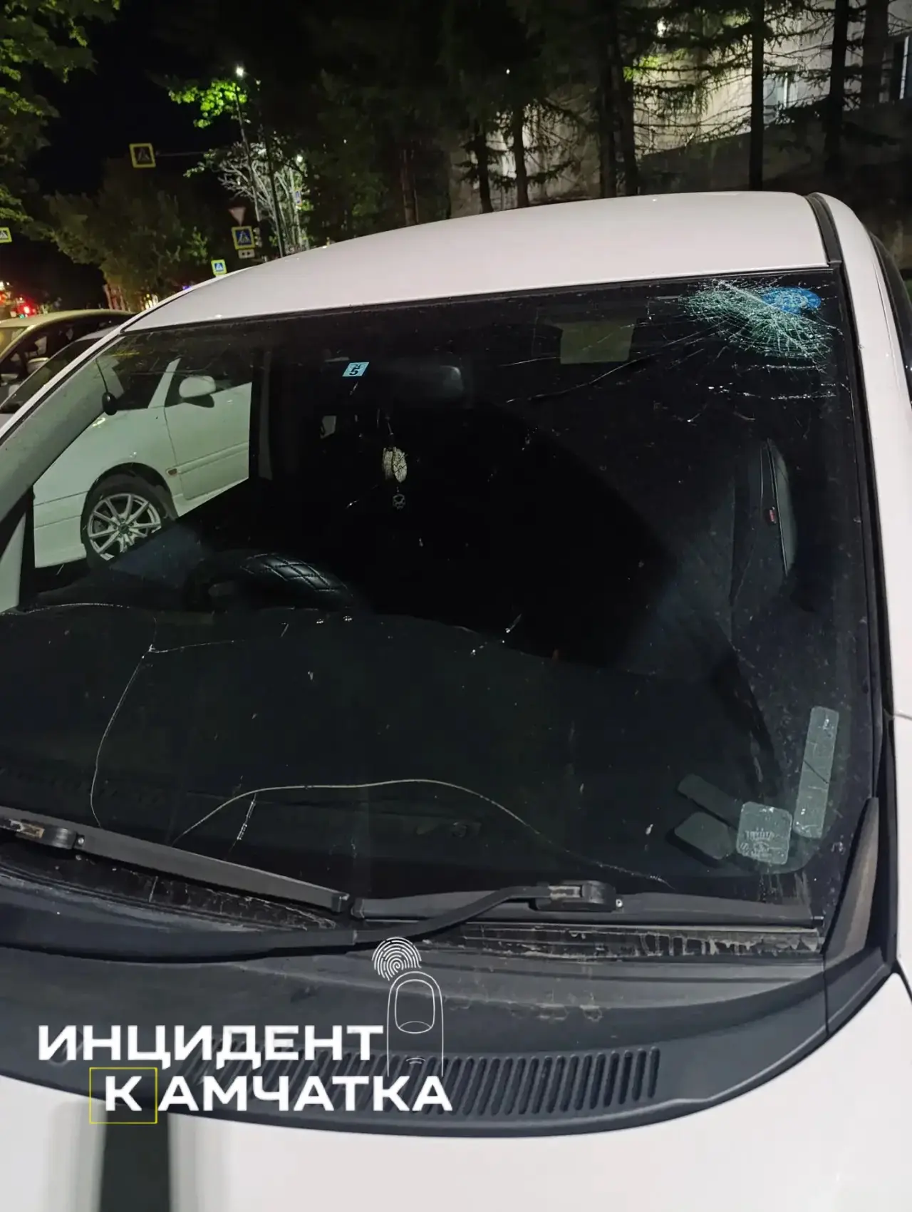 Дорожная разборка с мачете: на Камчатке возбудили уголовное дело