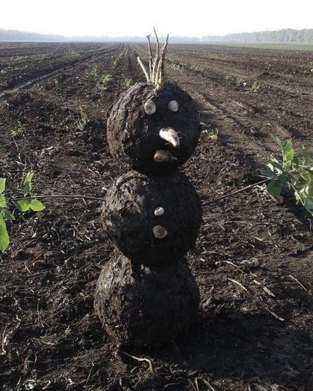 ❄️ Россиянам обещают ТЁПЛУЮ и даже БЕСснежную зиму – климатологи