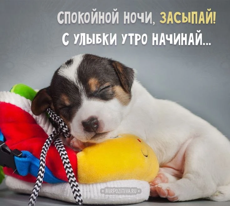 Открытки: подписаться ❤️