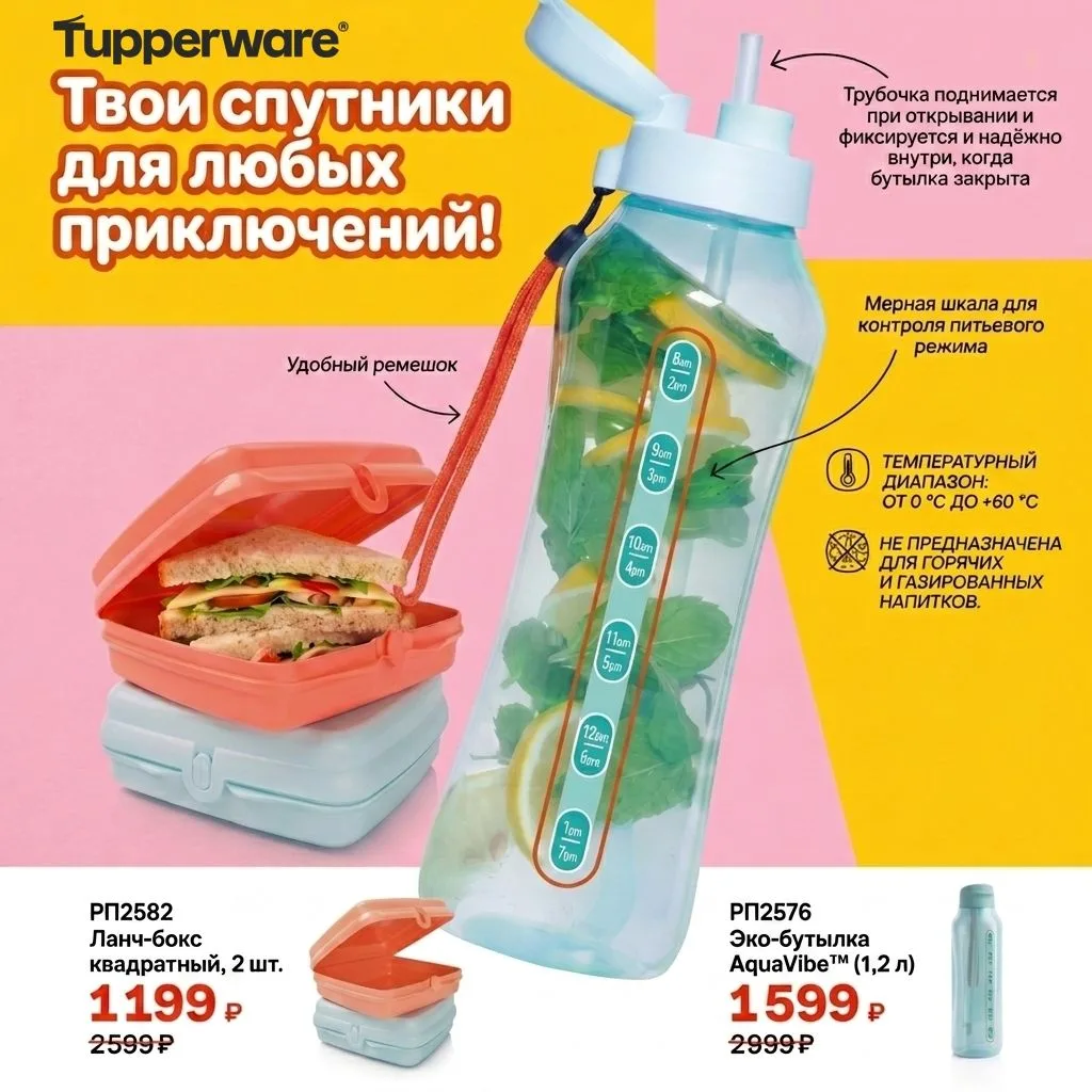Твои спутники для любых приключений! 🎒✨