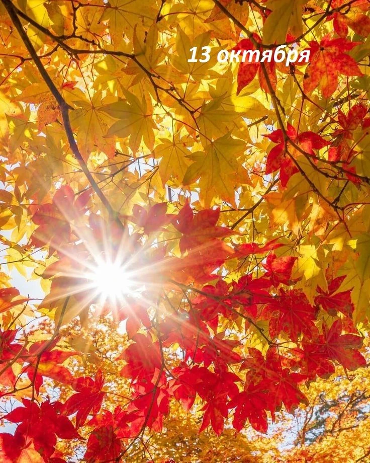 Доброе утро!