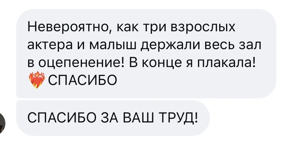 Следующий показ Анны 13 ноября, ждём вас! Билеты по ссылке https://novosibirsk.qtickets...