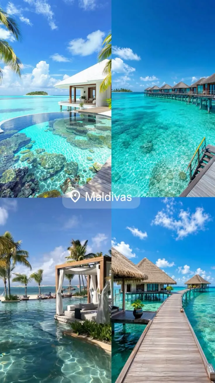🌴 Вместо тысячи тюльпанов — Мальдивы!
