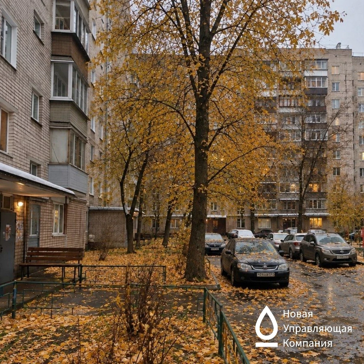 🌳 Что делать, если дерево на придомовой территории мешает или опасно?